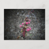 Blume Postkarte (Vorderseite)