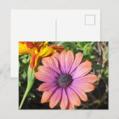 Blume Postkarte (Vorne/Hinten)