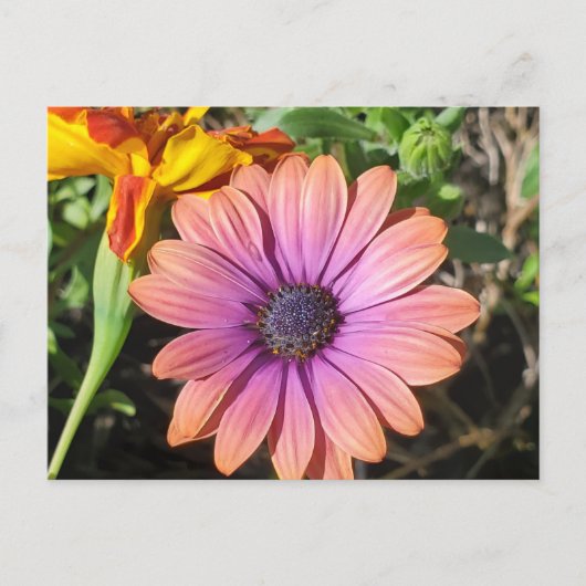 Blume Postkarte (Vorderseite)
