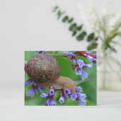 Blume Postkarte (Stehend Vorderseite)