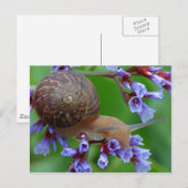 Blume Postkarte (Vorne/Hinten)