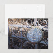 Blume Postkarte (Vorne/Hinten)