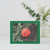 Blume Postkarte (Stehend Vorderseite)