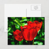 Blume Postkarte (Vorne/Hinten)