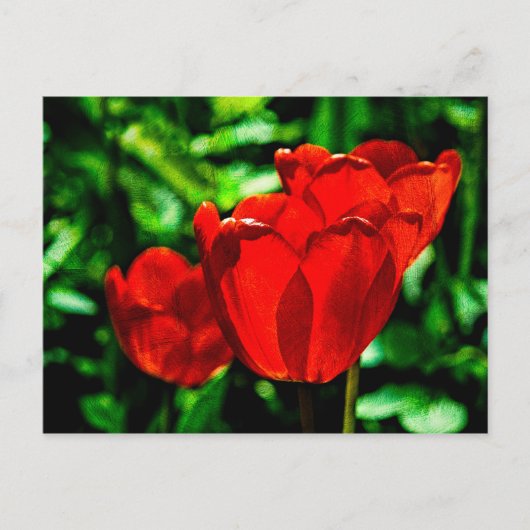Blume Postkarte (Vorderseite)