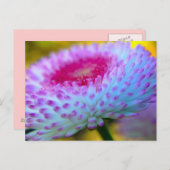 Blume Postkarte (Vorne/Hinten)