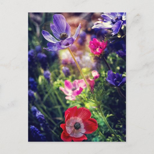 Blume Postkarte (Vorderseite)
