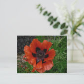 Blume Postkarte (Stehend Vorderseite)