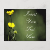 Blume Postkarte (Vorderseite)