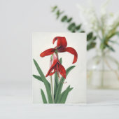 Blume Postkarte (Stehend Vorderseite)