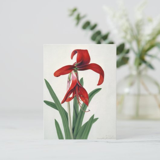 Blume Postkarte (Stehend Vorderseite)