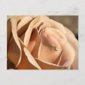 Blume Postkarte (Vorderseite)