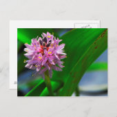 Blume Postkarte (Vorne/Hinten)