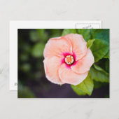 Blume Postkarte (Vorne/Hinten)