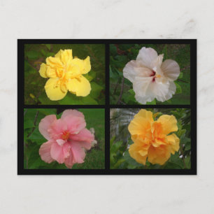 Blume Postkarte
