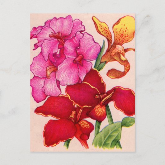 Blume Postkarte (Vorderseite)