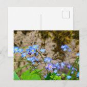 Blume Postkarte (Vorne/Hinten)