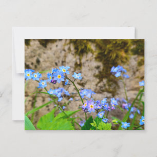 Blume Postkarte
