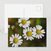 Blume Postkarte (Vorne/Hinten)