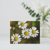 Blume Postkarte (Stehend Vorderseite)