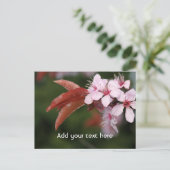 Blume Postkarte (Stehend Vorderseite)