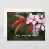 Blume Postkarte (Vorne/Hinten)