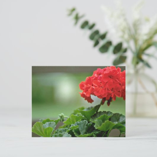 Blume Postkarte (Stehend Vorderseite)