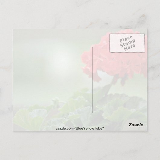 Blume Postkarte (Rückseite)