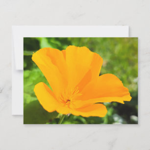 Blume Postkarte