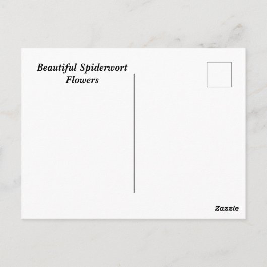 Blume Postkarte (Rückseite)