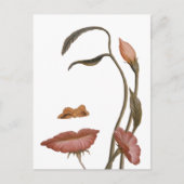 Blume Postkarte (Vorderseite)