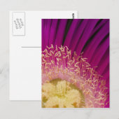 Blume Postkarte (Vorne/Hinten)