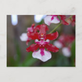 Blume Postkarte (Vorderseite)