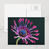 Blume Postkarte (Vorne/Hinten)