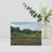 Blume Postkarte (Stehend Vorderseite)