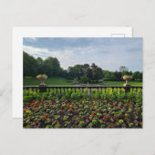 Blume Postkarte (Vorne/Hinten)