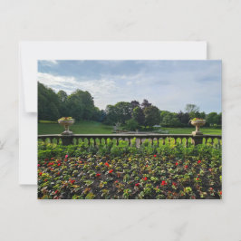 Blume Postkarte
