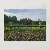 Blume Postkarte (Vorderseite)