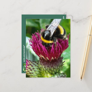 Blume Postkarte