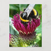 Blume Postkarte (Vorderseite)