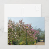 Blume Postkarte (Vorne/Hinten)
