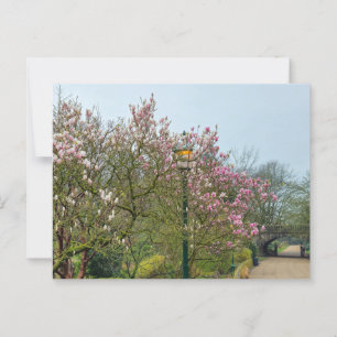 Blume Postkarte