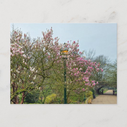 Blume Postkarte (Vorderseite)