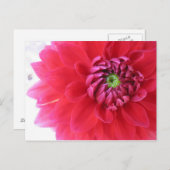 Blume Postkarte (Vorne/Hinten)