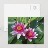 Blume Postkarte (Vorne/Hinten)