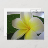 Blume Postkarte (Vorne/Hinten)