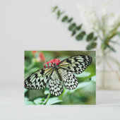 Blume Postkarte (Stehend Vorderseite)