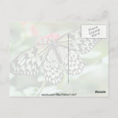 Blume Postkarte (Rückseite)