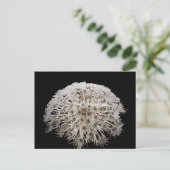 Blume Postkarte (Stehend Vorderseite)