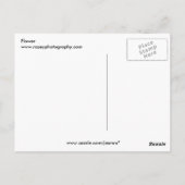 Blume Postkarte (Rückseite)